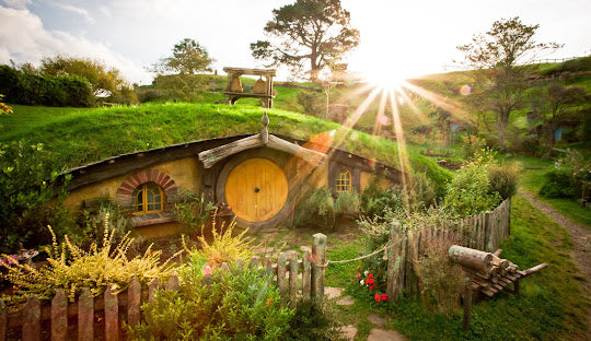 New Zealand Daily Unlimited Plan With 2 GB of High Speed Daily for 5 Days