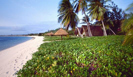 Mozambique 1GB 7Days