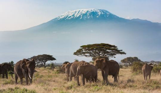 Tanzania 3GB 15Days