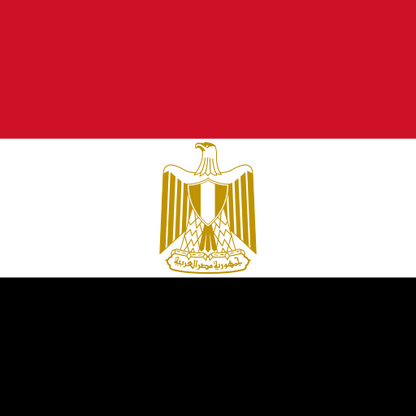 Egypt Unlimited Egypt 500MB/Day High Speed for 4 Days