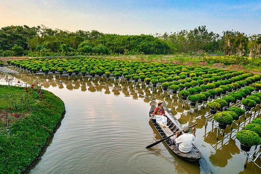 Vietnam  Daily Unlimited Plan